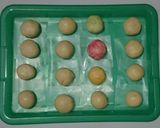 Foto langkah ke 4 dari resep Bakpao Mini *sinemaru*.