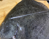 Foto del paso 1 de la receta: Rodaballo al horno en salsa