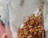 Foto del paso 2 de la receta: Brotes de lentejas al limón 🌱🍋 Germinado de lentejas alimonadas 🌱 🍋