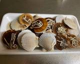 Japanese Miniature Obento Lunch Box