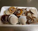 A picture of step 1 of Japanese Miniature Obento Lunch Box.