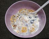 Foto langkah ke 3 dari resep Sereal Berry Yoghurt -340-.