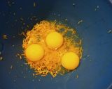 Foto del paso 1 de la receta: Bizcochuelo de naranja