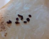 Foto del paso 14 de la receta: Roles de canela