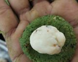 પાલક ચીઝ બોલ (Palak Cheese Balls Recipe In Gujarati) રેસીપી સ્ટેપ2ફોટો