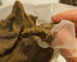 桂香烏龍月餅 Osmanthus Oolong Mooncakes的食譜步驟11照片