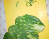 Foto del paso 2 de la receta: Puerco Con Nopales y Chile Rojo