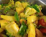 મિક્સ વેજીટેબલ સબ્જી (Mix Vegetable Sabji Recipe In Gujarati) રેસીપી સ્ટેપ2ફોટો