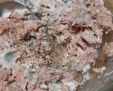 Foto del paso 3 de la receta: Ensalada de atún con pepinillos