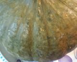 A picture of step 2 of Three Sisters Stew.