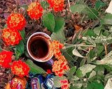 صورة لخطوة 1 من وصفة قهوة مسائي 🤷🏻♀️