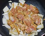 鶏ちゃん (keichan) - 岐阜鄉土料理的食譜步驟5照片