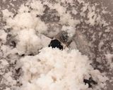 A picture of step 1 of Rice kheer.