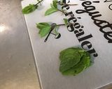 Une image de l'étape 11 de Melon farci aux tomates bicolores, feta, radis et menthe fraîche.