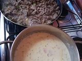 Spezzatino con salsa Alfredo ☘️