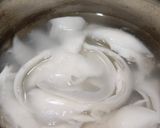Foto langkah ke 1 dari resep Puding Kelapa (1235).