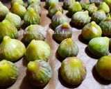 Une image de l'étape 3 de Figues séchées maison.