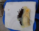 Foto langkah ke 2 dari resep Sosis roti panggang isi pisang coklat.
