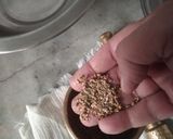 A picture of step 2 of Fulvadi.