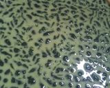 Foto langkah ke 5 dari resep Cendol kecebong.