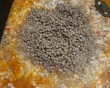 Foto del paso 4 de la receta: Guiso de arroz y lentejas