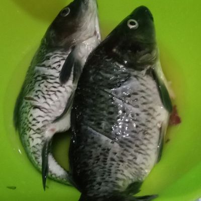 Langkah 3