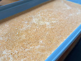 Budín 🥧 de zanahoria 🥕 y naranja 🍊