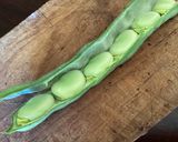 A picture of step 1 of California Farm Fresh Fava Beans in Bearnaise Sauce.