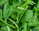 Hình bước làm 2 của món Mỳ xào tổng hợp