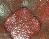 Foto del paso 2 de la receta: Chamoy
