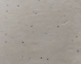A picture of step 3 of D shape samosa.