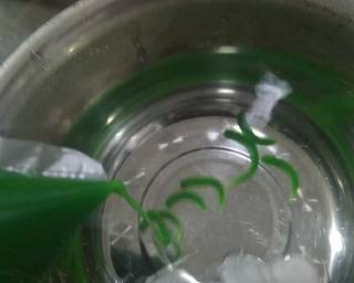 Homemade Es Cendol PANDAN - Step 6