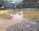 Hình bước làm 1 của món Tôm rang chua ngọt