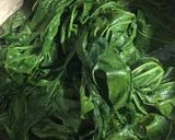 Foto langkah ke 3 dari resep Daun Singkong Stok Kulkas.