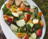 Saladmatakin girki1 hoto