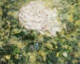அரைக்கீரை கூட்டு (Araikeerai kootu recipe in tamil) ரெசிபி ஸ்டேப் 3 புகைப்படம்