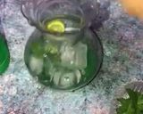 Mint lemonadematakin girki7 hoto