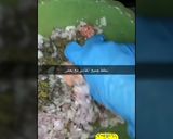 صورة لخطوة 2 من وصفة مانتي (اكلة تركية)