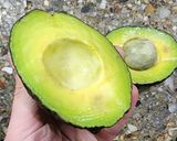 Foto del paso 1 de la receta: 🥑Dip de palta - Crema de palta y ricotta al limón- Fuente de grasas saludables, proteínas y vit C🥑