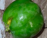 ""গোবিন্দভোগ চাল দিয়ে পেঁপে ঘন্ট"" (gobindobhog chal diye pepe ghonto recipe in Bengali) রেসিপির ধাপ 1 ছবি