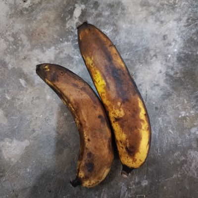 Langkah 1