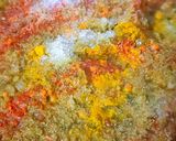 A picture of step 7 of Tawa Egg Fry🥚.