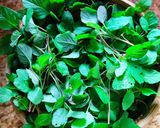 Hình bước làm 1 của món Canh rau dền non tôm khô