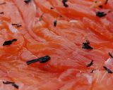 Une image de l'étape 8 de Truite fumée sans bois ou truite gravlax au thé fumé.
