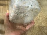 Tempeh đậu gà & đậu Hà Lan