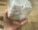 Hình bước làm 3 của món Tempeh đậu gà & đậu Hà Lan