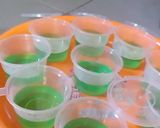Foto langkah ke 1 dari resep Puding semangka 🍉.