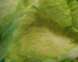 Cabbage and Lasagna Noodle roll ups Labor Day recipe step 3 photo