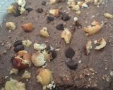 Foto del paso 5 de la receta: Brownie de porotos negros 😧