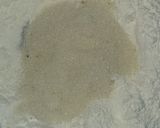 Foto del paso 2 de la receta: Conchas